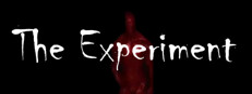 The Experiment