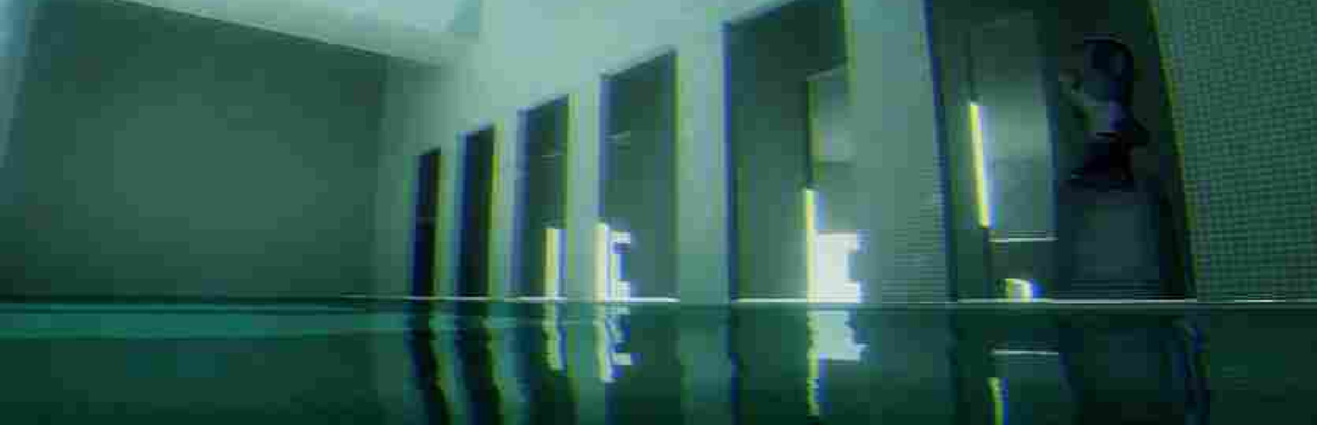 Disminal