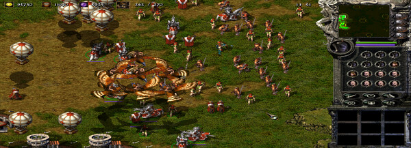 Kingdom Under Fire: A War of Heroes (GOLD Edition) Screenshot