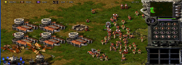 Kingdom Under Fire: A War of Heroes (GOLD Edition) Screenshot