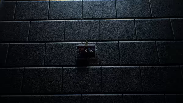 Leak video 8