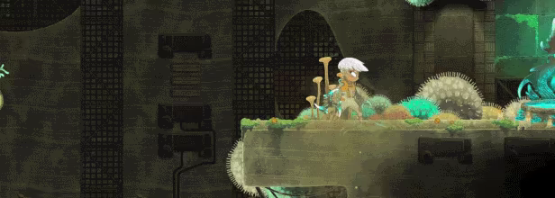 Echo Weaver video 2