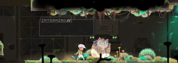 Echo Weaver video 4
