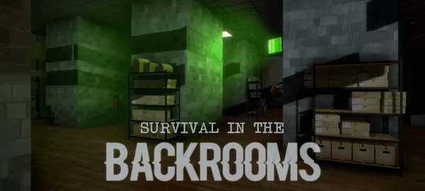 SURVIVAL IN THE BACKROOMS video 4