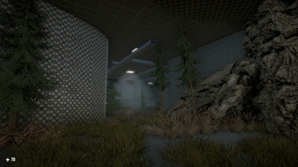 SURVIVAL IN THE BACKROOMS.