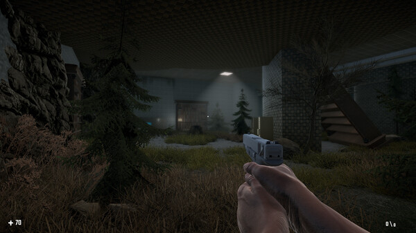 SURVIVAL IN THE BACKROOMS.