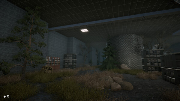 SURVIVAL IN THE BACKROOMS.