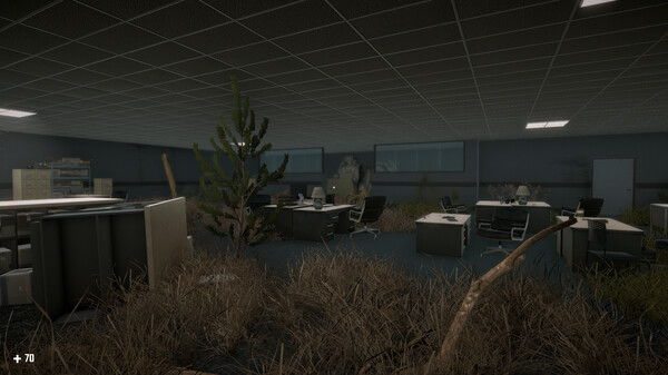 SURVIVAL IN THE BACKROOMS.