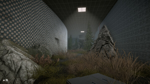 SURVIVAL IN THE BACKROOMS.