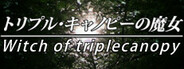 Capsule media