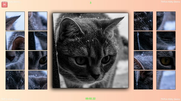 TitTok Kitty Demo