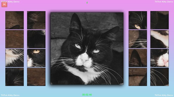 TitTok Kitty Demo