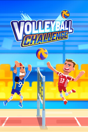 Volleyball Challenge