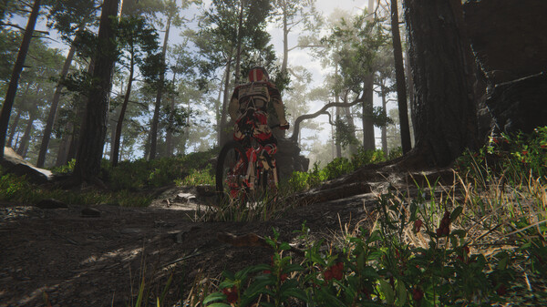 Screenshot 4 of Traildown: Downhill Mountain Biking - final gameplay screenshot