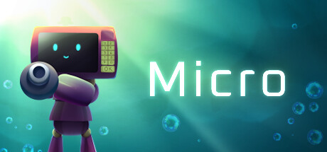 Micro