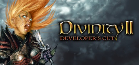 Steam header art for Divinity II: Developer's Cut