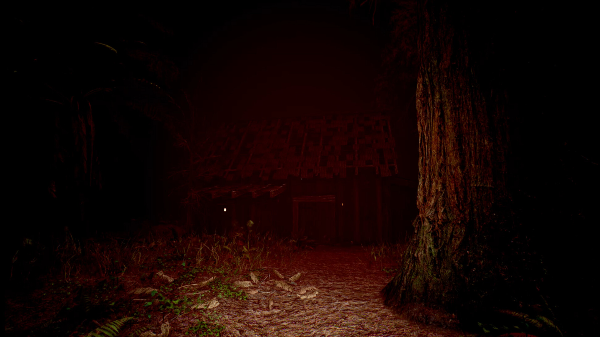 Red Light White Light screenshot #1