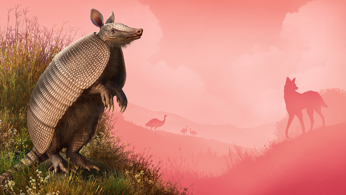 Steam：Planet Zoo: Grasslands Animal Pack
