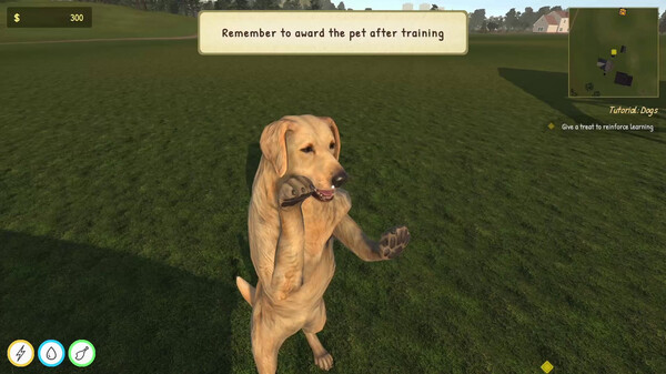 Screenshot z Animal Trainer Simulator
