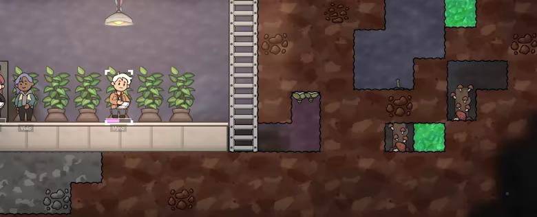 Adaptory video 11