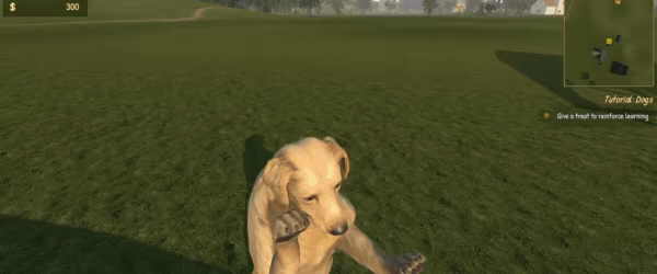 Animal Trainer Simulator: Prologue video 4
