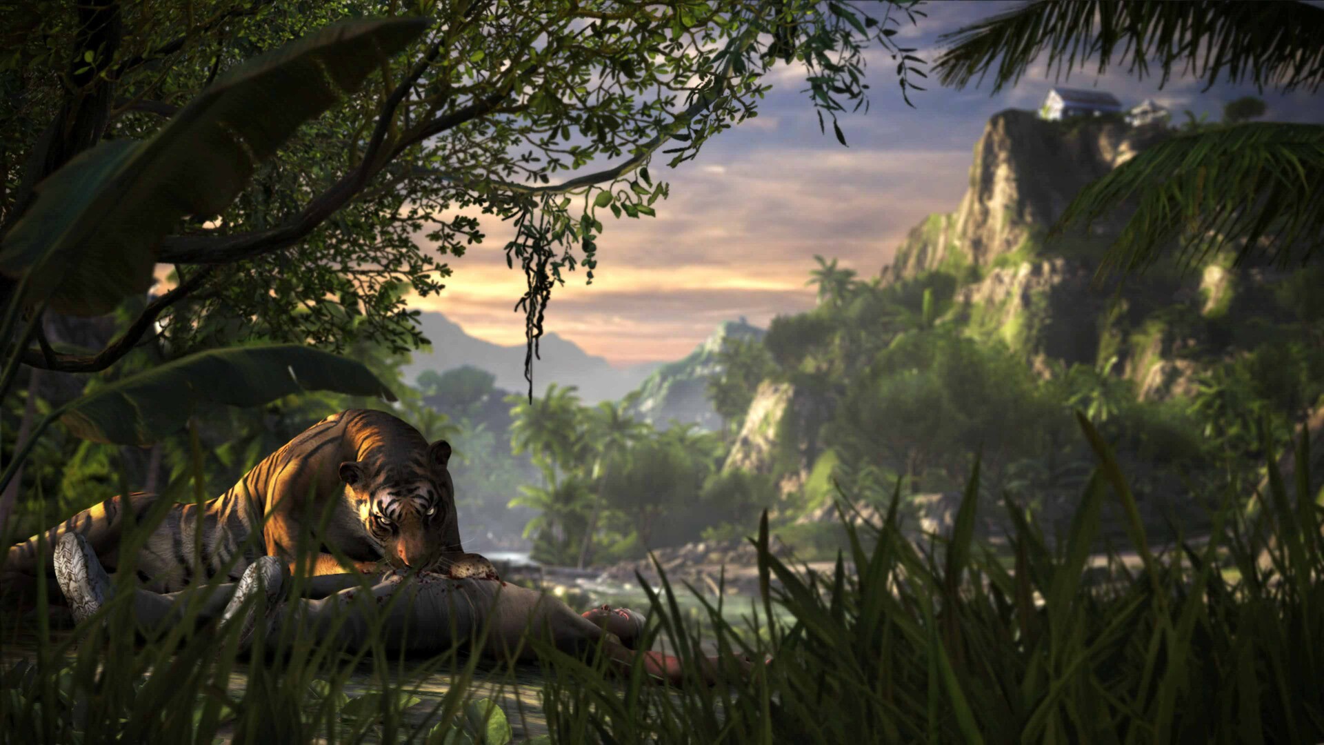 Far Cry 3 screenshot 5