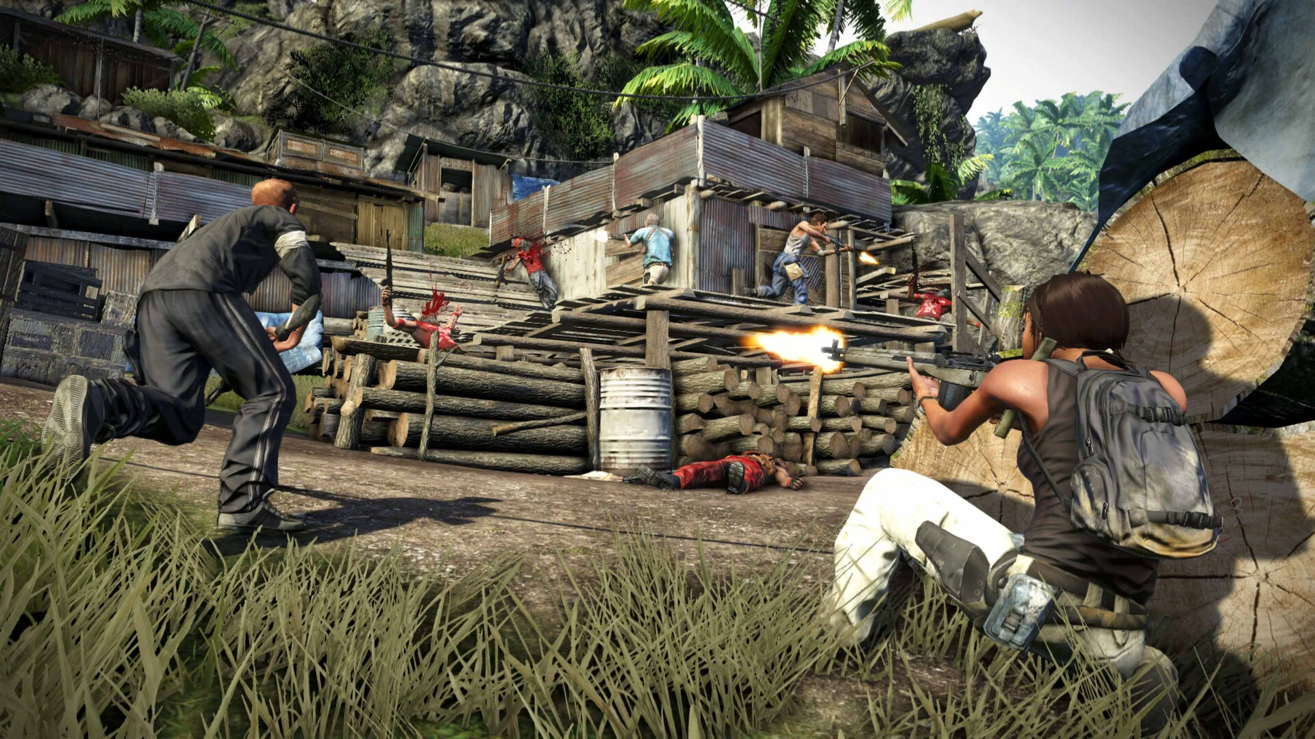 Far Cry 3 screenshot 2