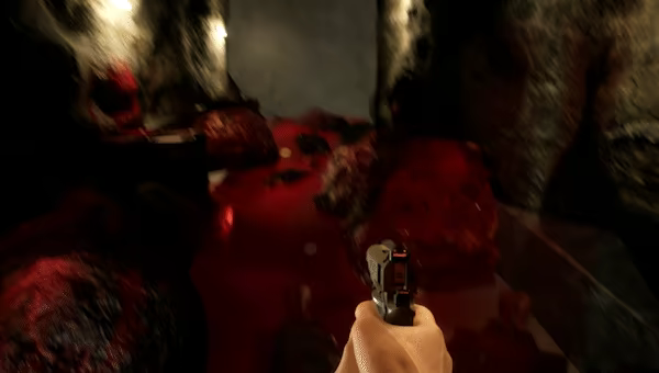 Delusion video 2