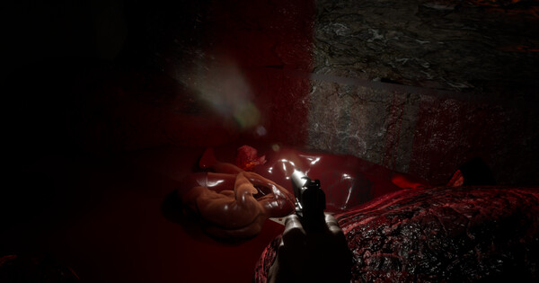 Delusion screenshot 6