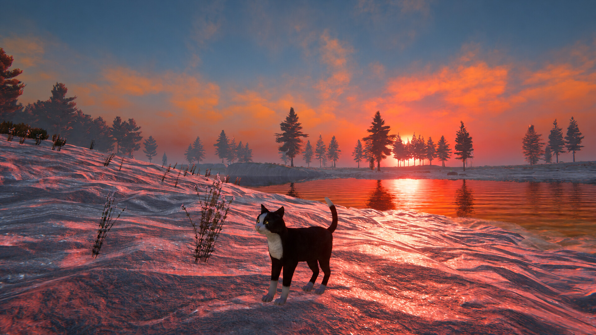 Cat Life screenshot #12