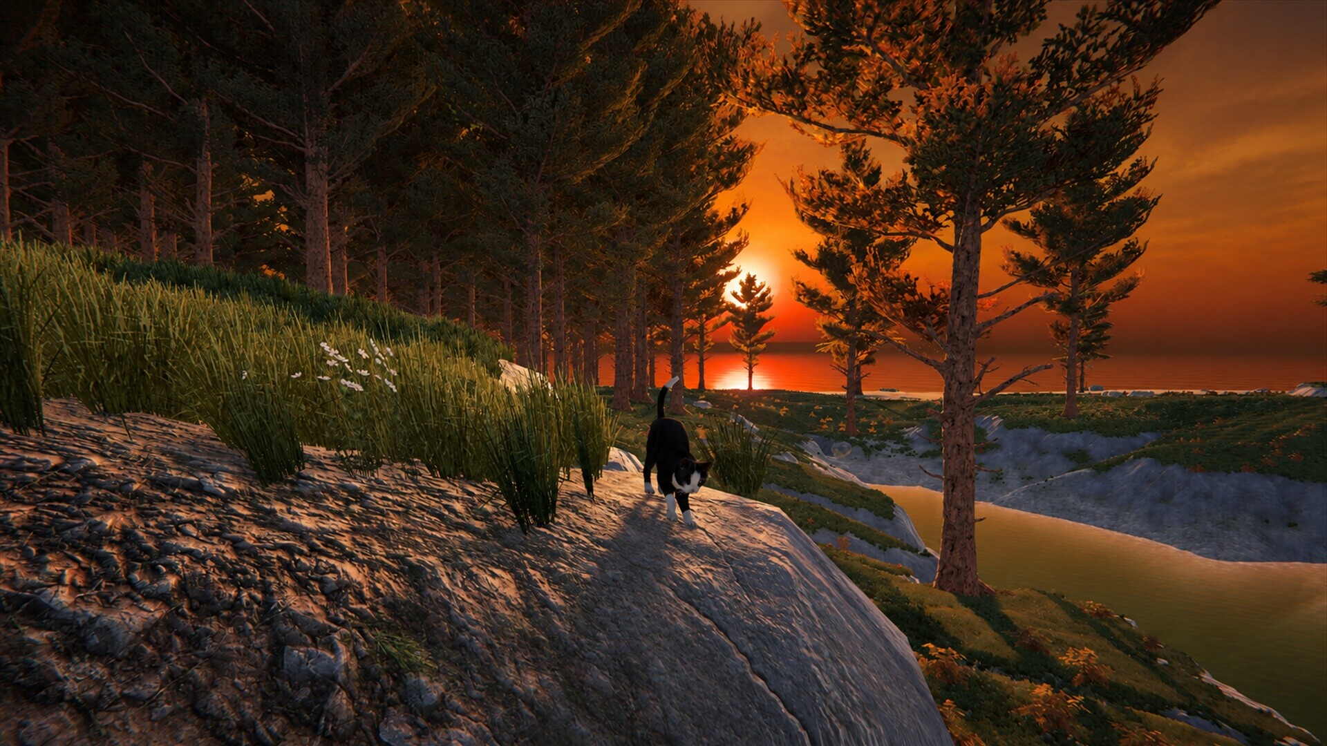 Cat Life screenshot #3