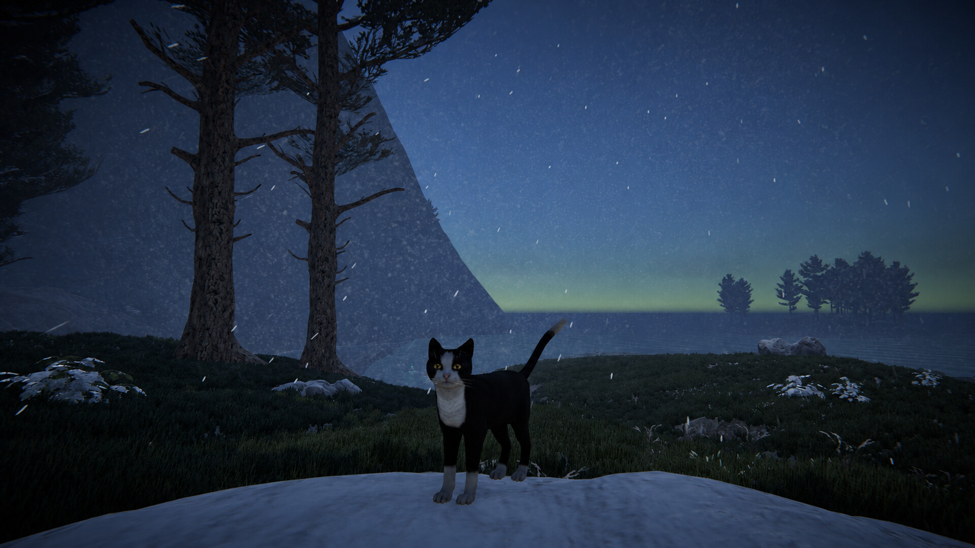 Cat Life screenshot #13
