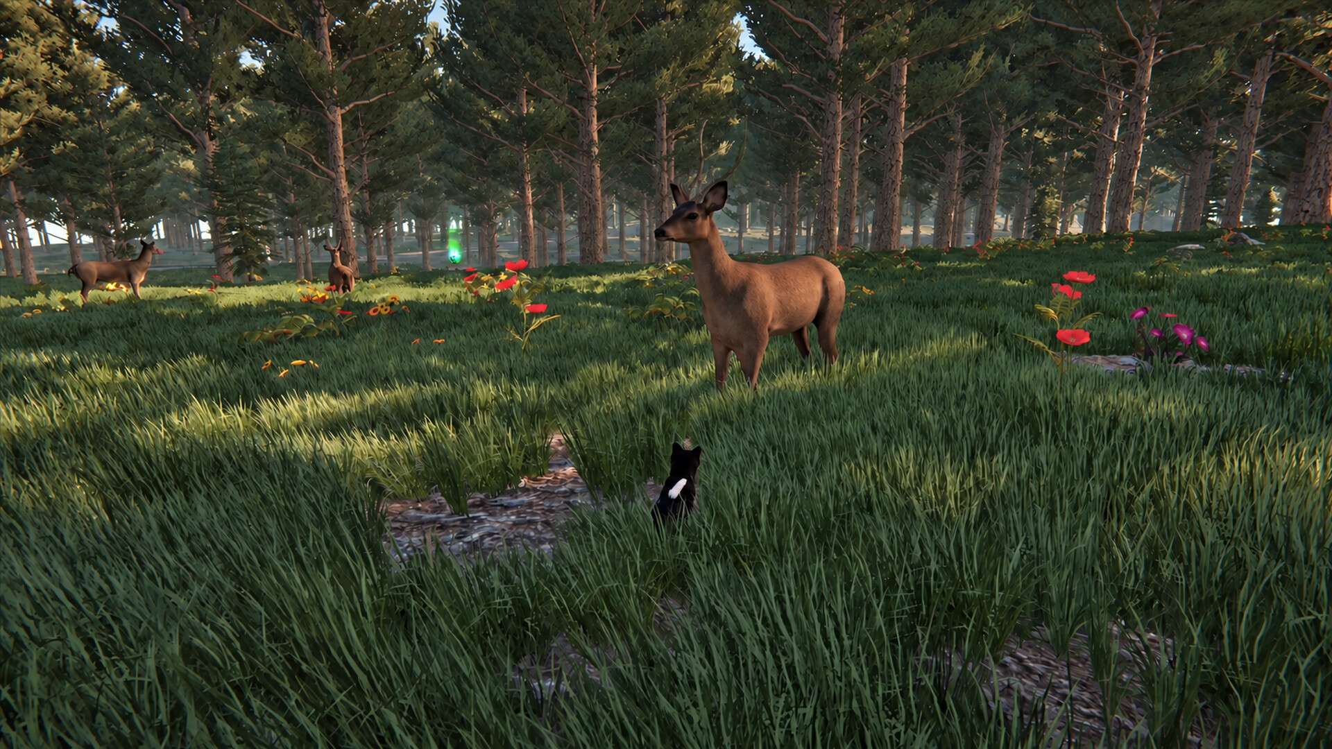 Cat Life screenshot #14