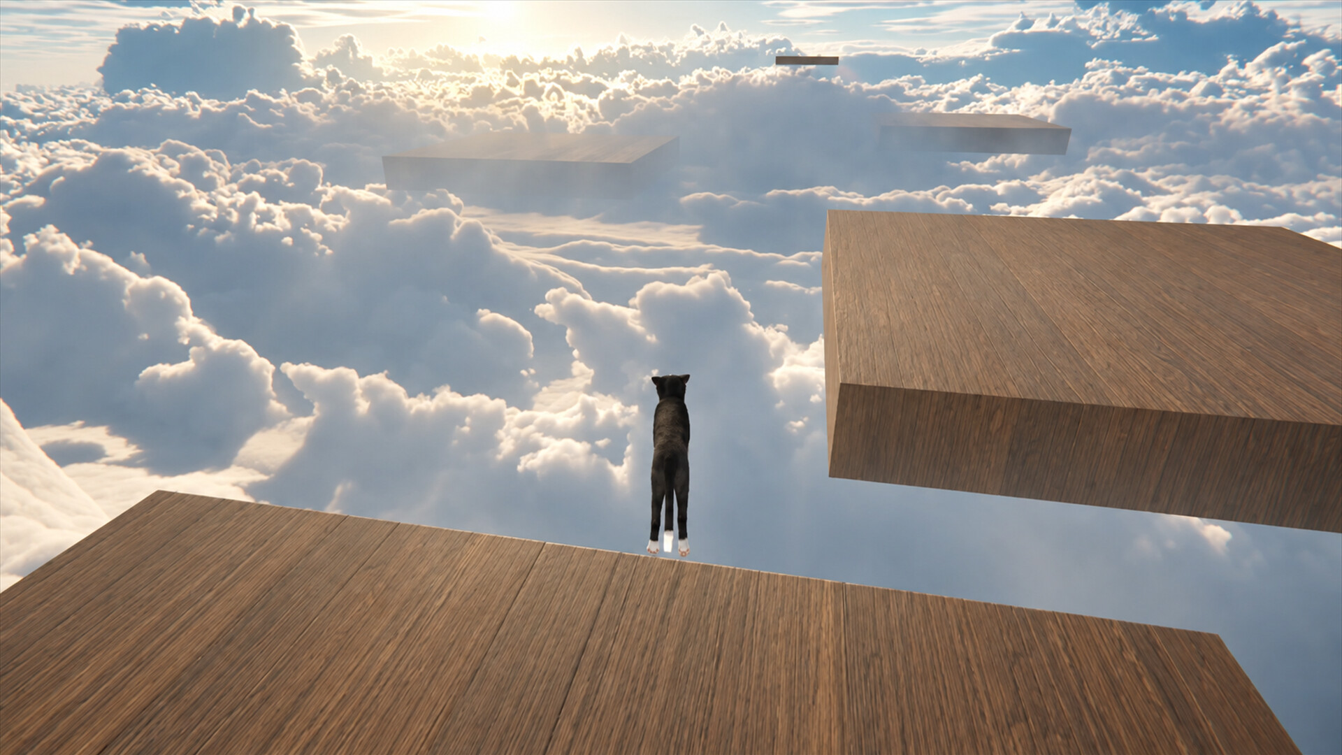 Cat Life screenshot 17
