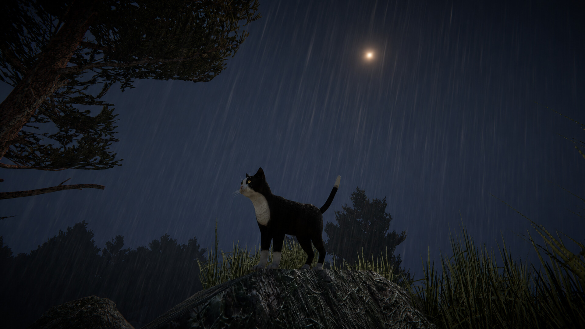 Cat Life screenshot #10