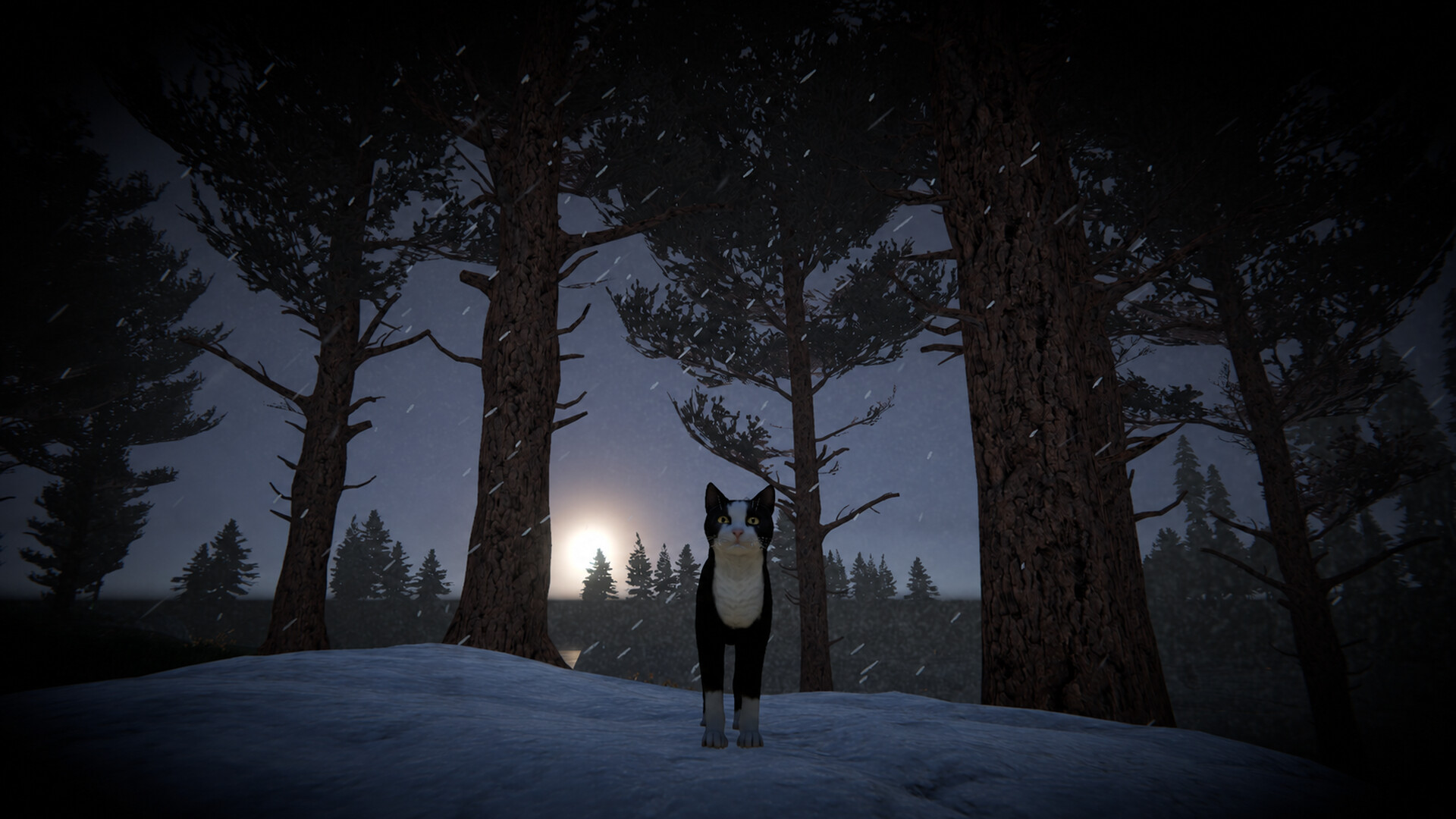 Cat Life screenshot #19