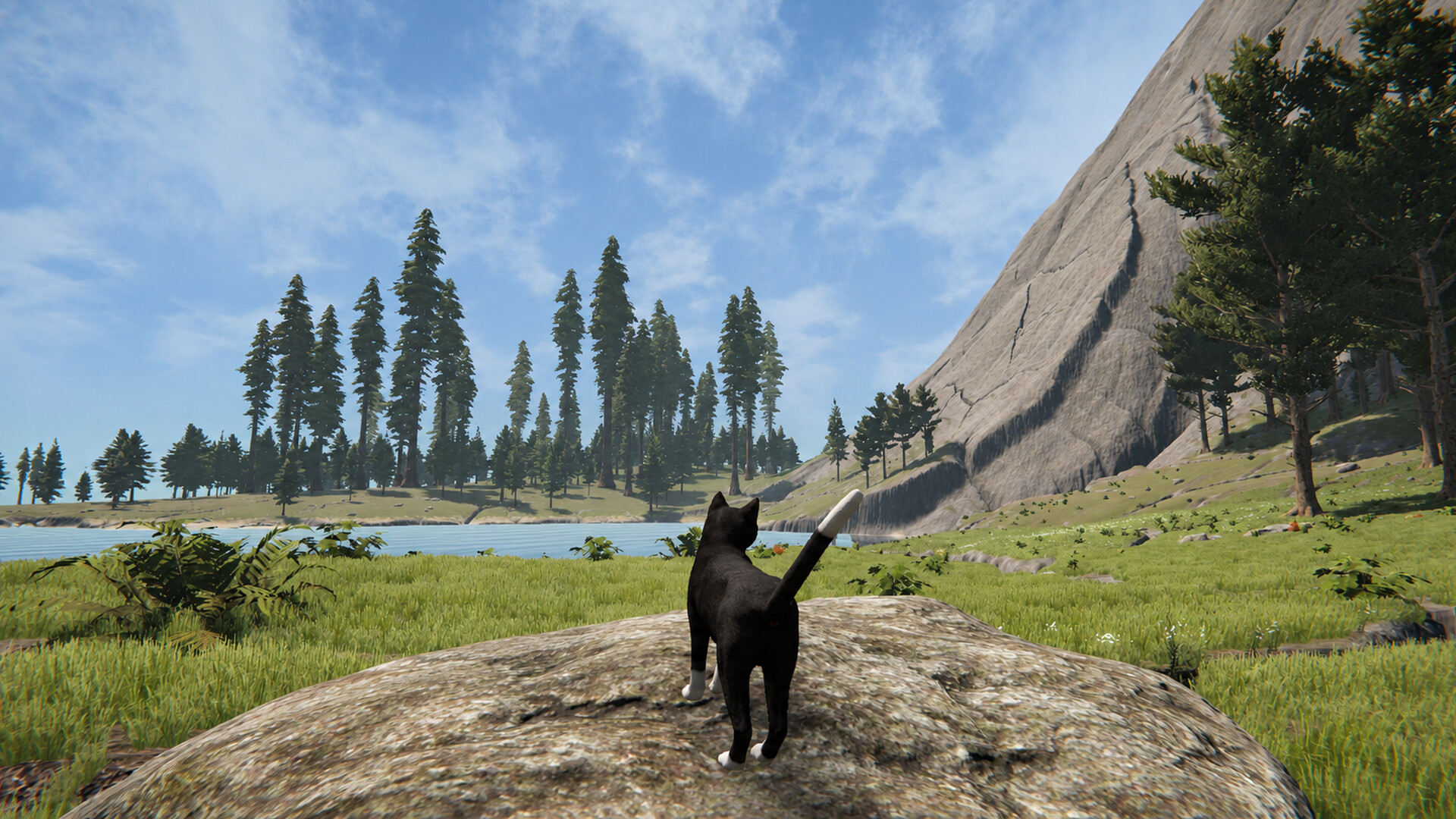 Cat Life screenshot 1