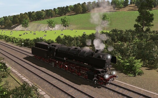 Trainz 2019 DLC - Pro Train: DB Class 44