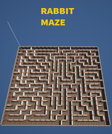 Rabbit Maze