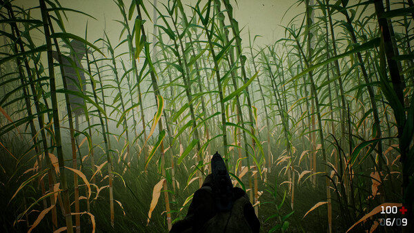 Outfield screenshot 1