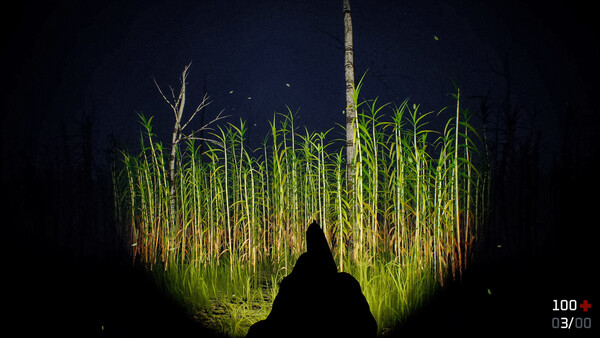 Outfield screenshot 6
