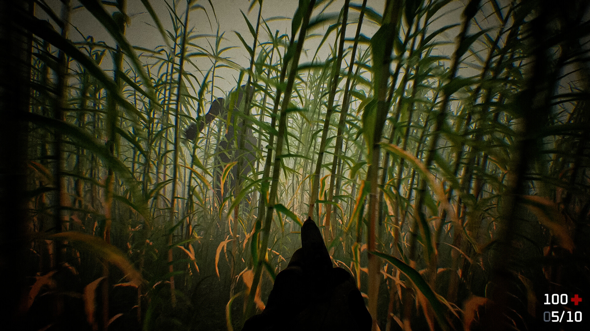 Thumb 5