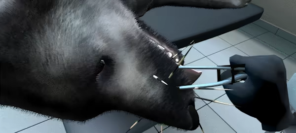 VetVR Veterinary Simulator video 4