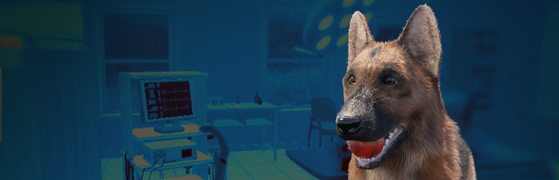 VetVR Veterinary Simulator