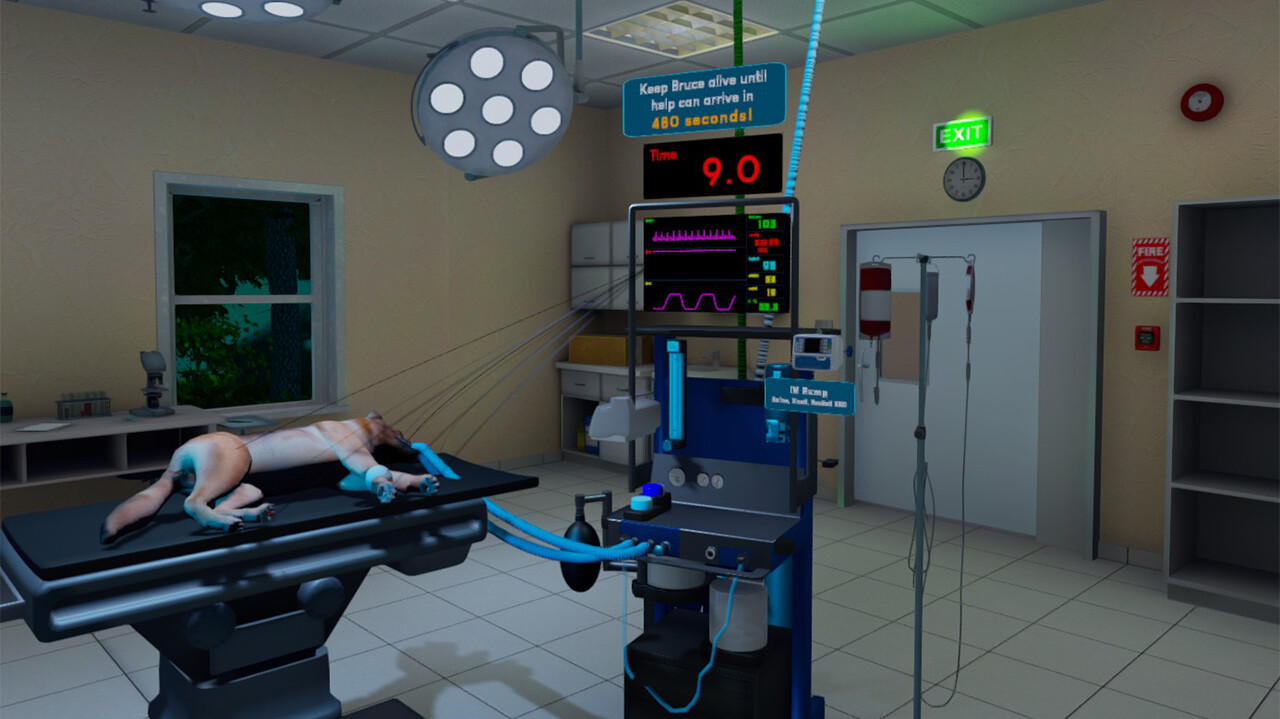VetVR Veterinary Simulator
