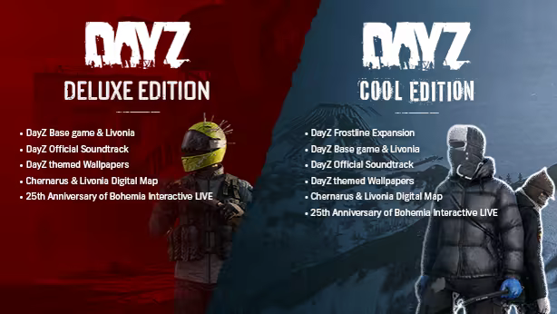 DayZ image