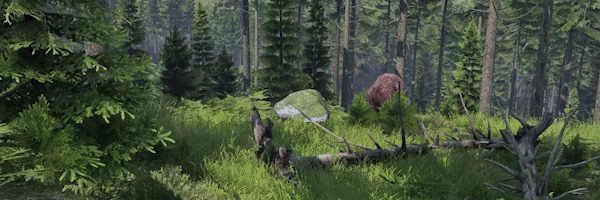 bear.gif?t=1716830798