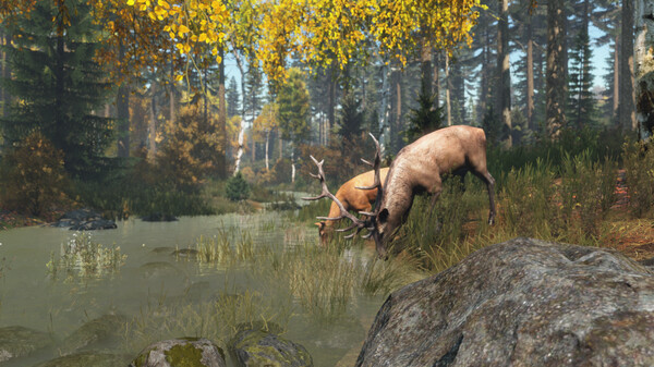 DayZ Screenshot