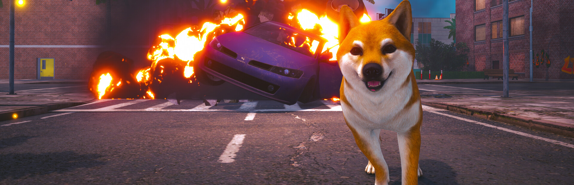 Doge Simulator