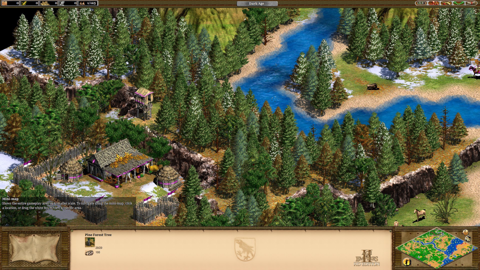Age of Empires II (Retired)